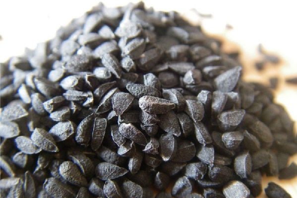 Le cumin noir ou la nigelle bio
